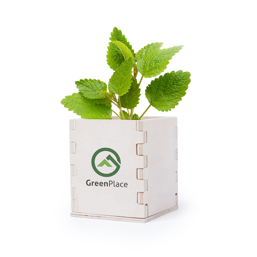 Merin Flowerpot