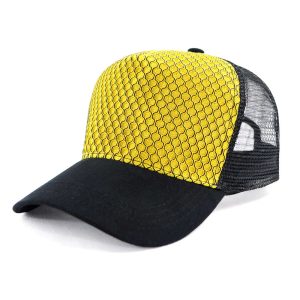 Aspect Cap