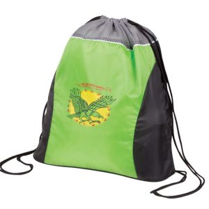 Backsack