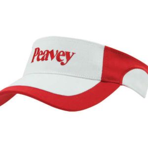 Visors