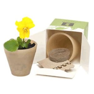 5 Stick Biopot