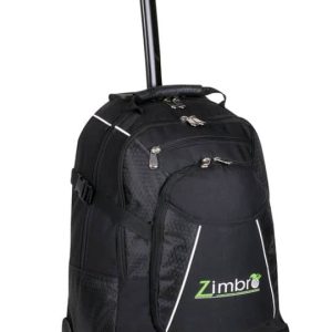 Trolley Backpack